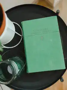 Есенин Окский - 15