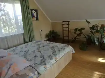 Дом с орехом во дворе - 14