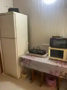 Дельфин - 7