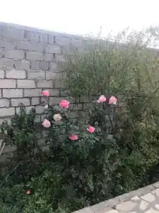 Уютный дом-дача - 18