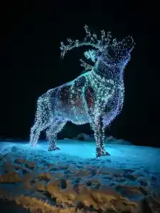 Рускеальский привал - 20