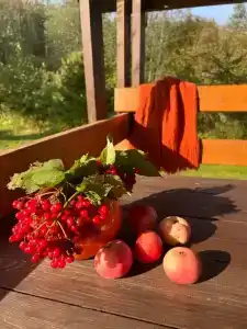 Коттедж на берегу реки - 30