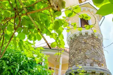 Соколиное Гнездо - 13