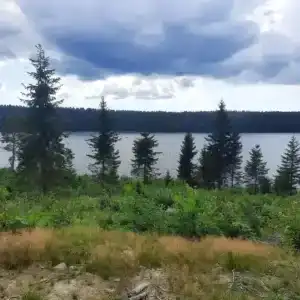 Коттедж на озере Красавица - 3