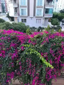 Martı Sahil Tatil - 8