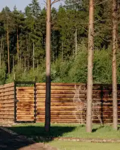 A-frame Сосновый бор - 121