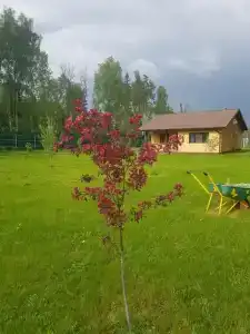 Дом для отдыха Sport Village в Белкино - 0
