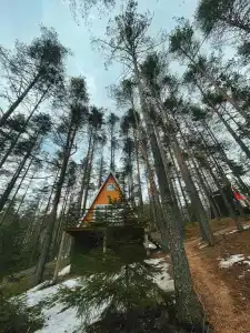 Гринвальд парк Скандинавия - 5