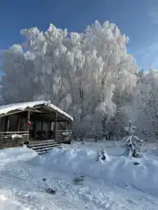 Капитан - 36
