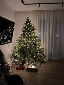 Дом в сосновом лесу - 1