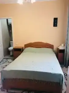 Кипарис - 16