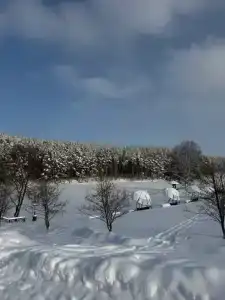 Капитан - 56