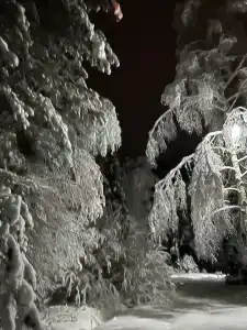 Дом Берендей - 18