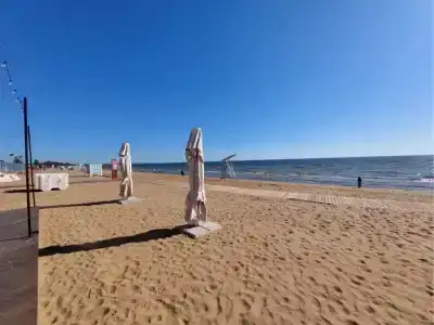 Бухта - 55