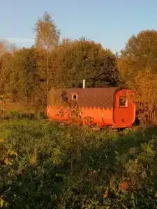vpolenovo - 7