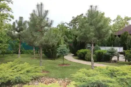 Pinebrook - 6