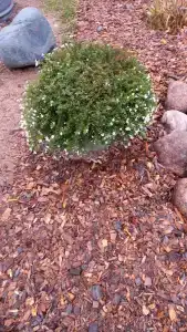 Дом для отдыха - 15