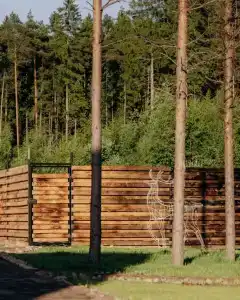 A-frame Сосновый бор - 102