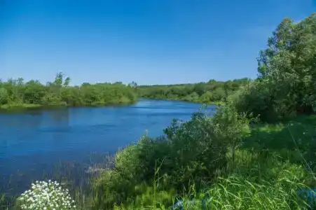 Дом с баней у реки - 13