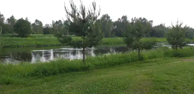Загородный дом у реки в лесу - 23