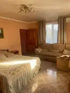 Кипарис - 176