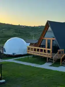 Аквариум - 52