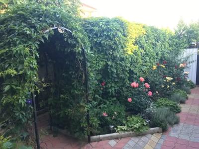 Лайтхаус - 1