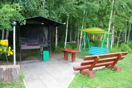 Подсолнух - 40