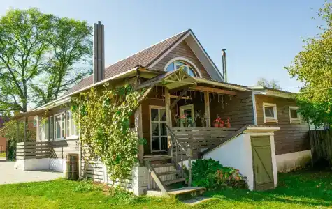 Боровики - 32