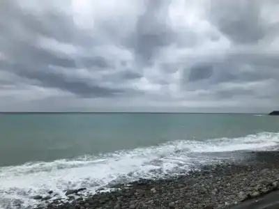 Дом на Ольховом - 38