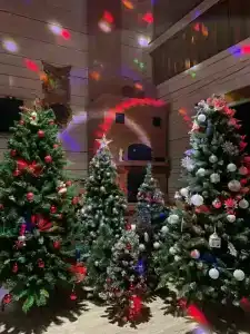 Усадьба Куйто - 30