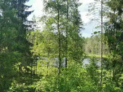 Хутор Лампи - 49