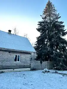 Дом художника на краю леса - 24