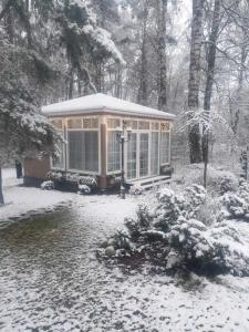 Сезоны - 31