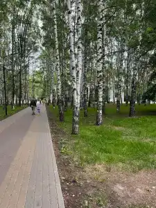 Белинского, 11/66 - 19