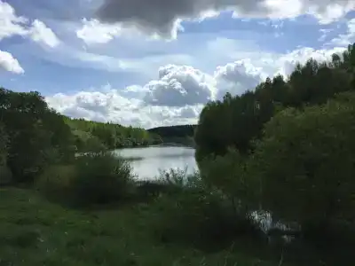 Рыжий Кот - 53