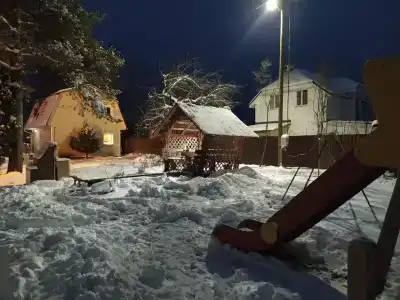 Дом с сауной в Больших Борницах - 1