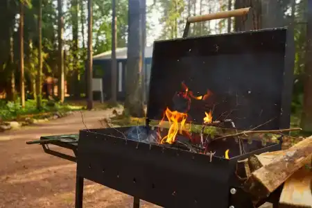Репинские дачи - 69