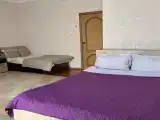 Двухместный номер с 1 кроватью эконом