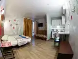 Апартаменты однокомнатный с кухней