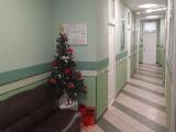 Односпальная кровать в общем номере для женщин