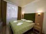 Двухместный номер с 1 кроватью семейный