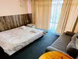 Двухместный номер с 1 кроватью люкс