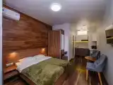 Двухместный номер с 1 кроватью студия