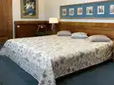 Двухместный номер с 1 кроватью Premium