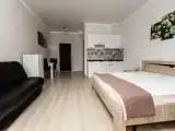 Апартаменты Studio с кухней, без балкона