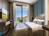 Делюкс с видом на парк