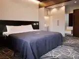 Двухместный номер с 1 кроватью эконом