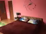 Двухместный номер с 1 кроватью delux