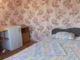 Двухместный номер с 1 кроватью стандарт с видом на горы